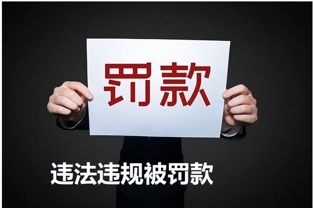 “桃源硒购”、“硒小购”APP运营方因涉嫌传销被罚没548万余元-第3张图片-90博客网