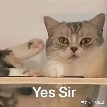 新媒体运营是个玄学,从0到1教你入门新媒体运营?-第2张图片-90博客网 新媒体运营是个玄学,从0到1教你入门新媒体运营?-第2张图片-90博客网