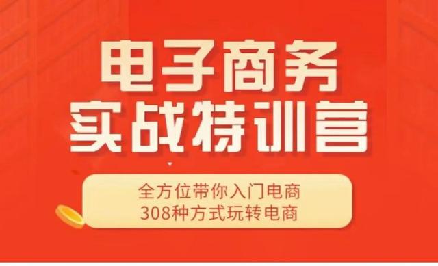11大板块，308种技巧方法，全程实战实训玩转精细化电商运营-第1张图片-90博客网