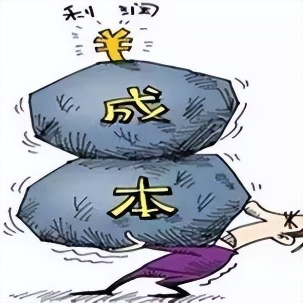 90后中国大学生的社交电商之路-第3张图片-90博客网