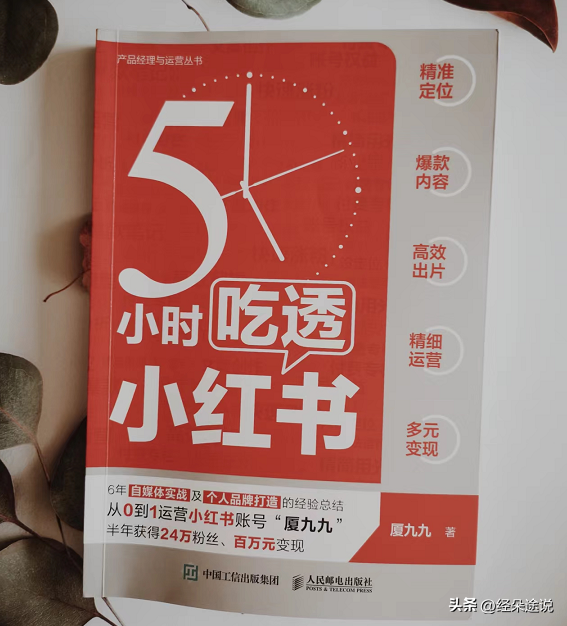 半年涨粉24万，小红书运营的秘诀都在这本书里-第1张图片-90博客网