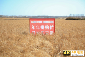 登上吴晓波年终秀背后：三十而立的苏宁何以代言“智慧零售”？-第8张图片-90博客网