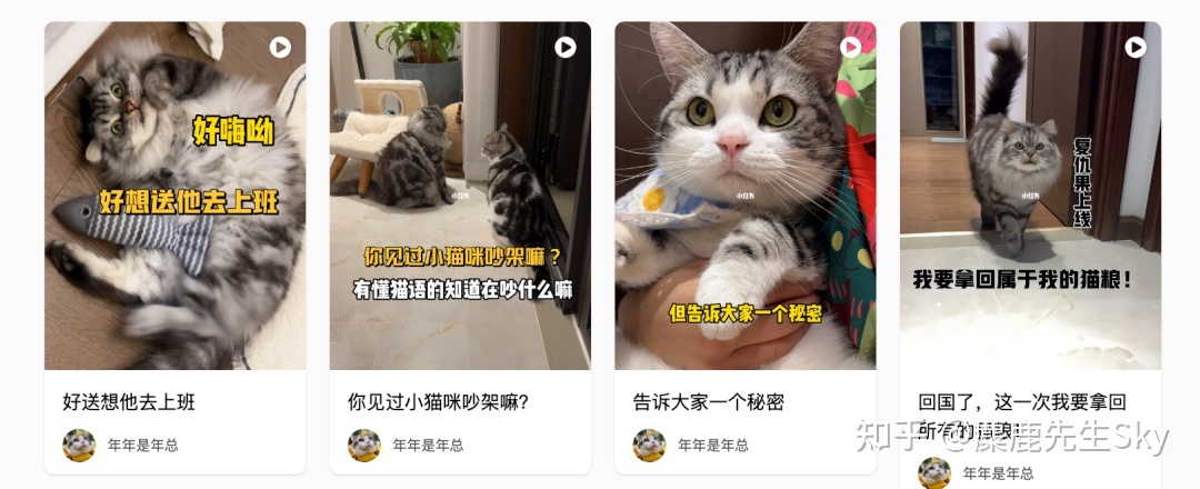你在小红书的涨粉速度不如狗-第9张图片-90博客网 你在小红书的涨粉速度不如狗-第9张图片-90博客网
