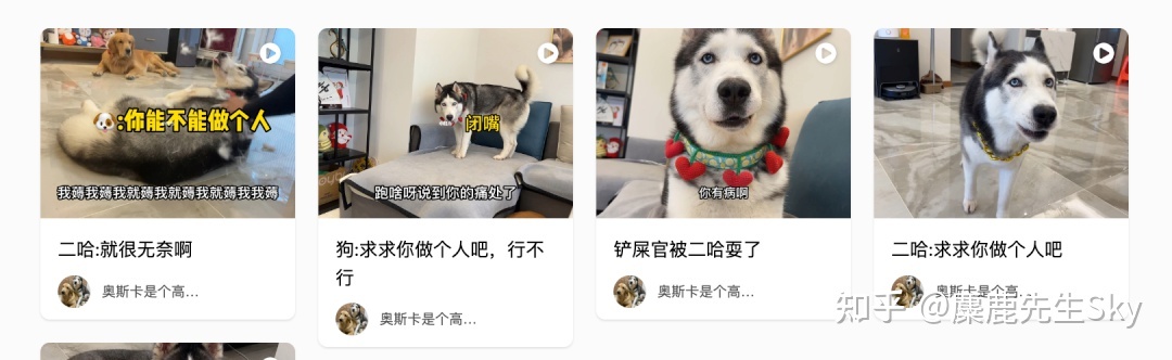 你在小红书的涨粉速度不如狗-第10张图片-90博客网 你在小红书的涨粉速度不如狗-第10张图片-90博客网