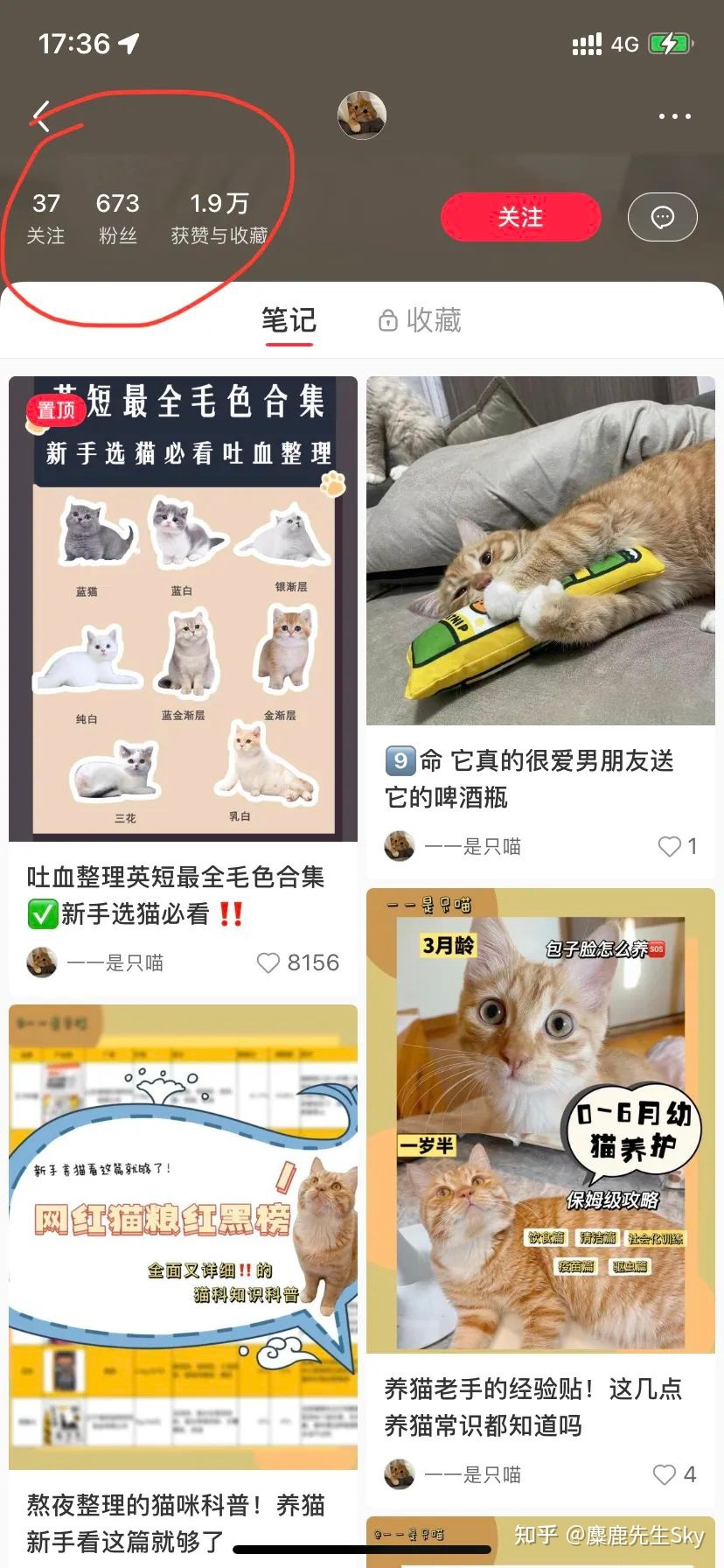 你在小红书的涨粉速度不如狗-第15张图片-90博客网 你在小红书的涨粉速度不如狗-第15张图片-90博客网