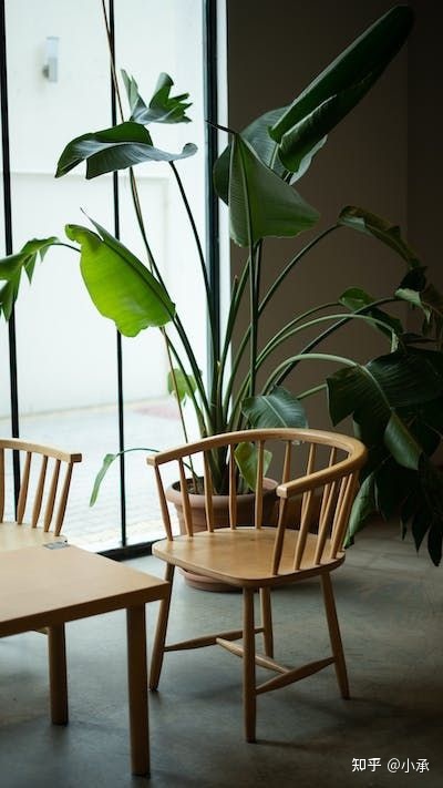 绝对成交的10个步骤，这个妙计让你客户源源不断-第1张图片-90博客网