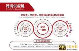 加速供应链变革！解读这家跨境产业龙头企业成长的秘密-第3张图片-90博客网