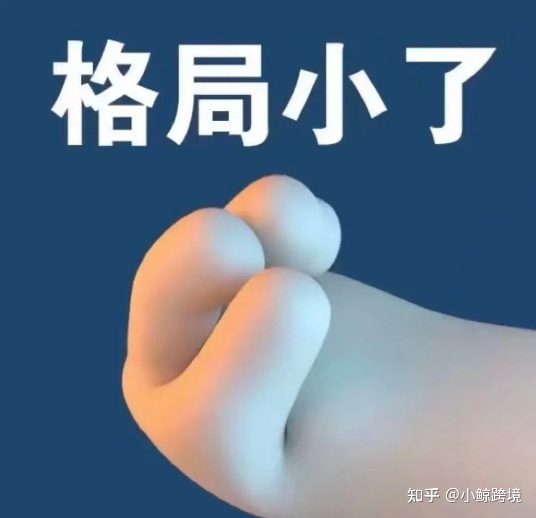指南针|两个offer怎么选：亚马逊运营or国内电商运营？-第7张图片-90博客网