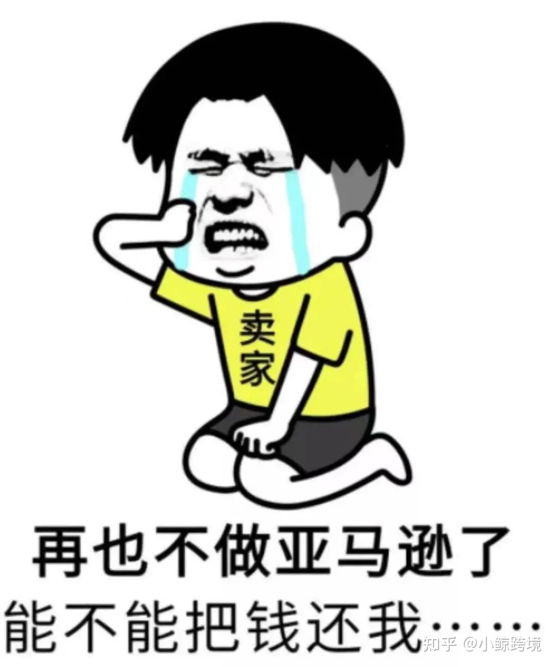 指南针|两个offer怎么选：亚马逊运营or国内电商运营？-第9张图片-90博客网