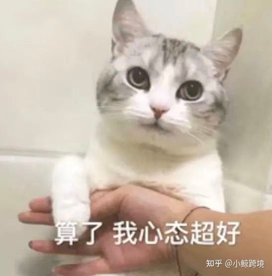 指南针|两个offer怎么选：亚马逊运营or国内电商运营？-第15张图片-90博客网