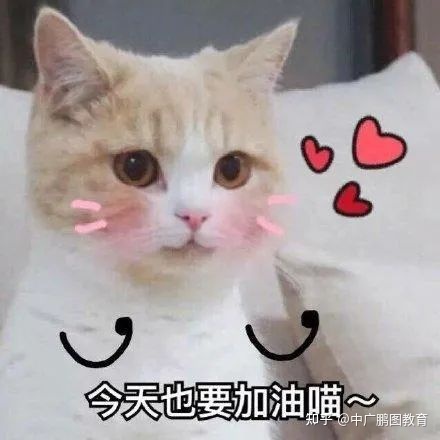 0经验转行，到底要不要选全媒体运营师？| 转行跳槽必看-第12张图片-90博客网
