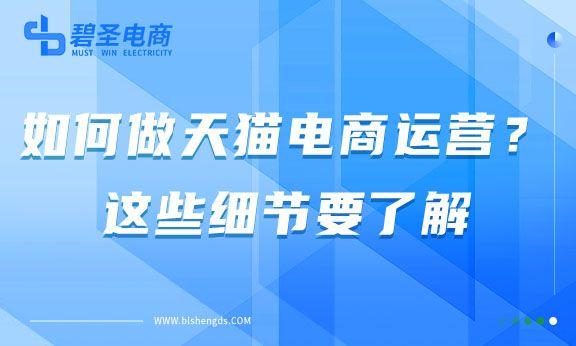 如何做天猫电商运营？这些细节要了解-第1张图片-90博客网
