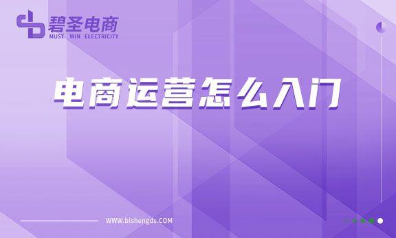 电商运营怎么入门？-第1张图片-90博客网