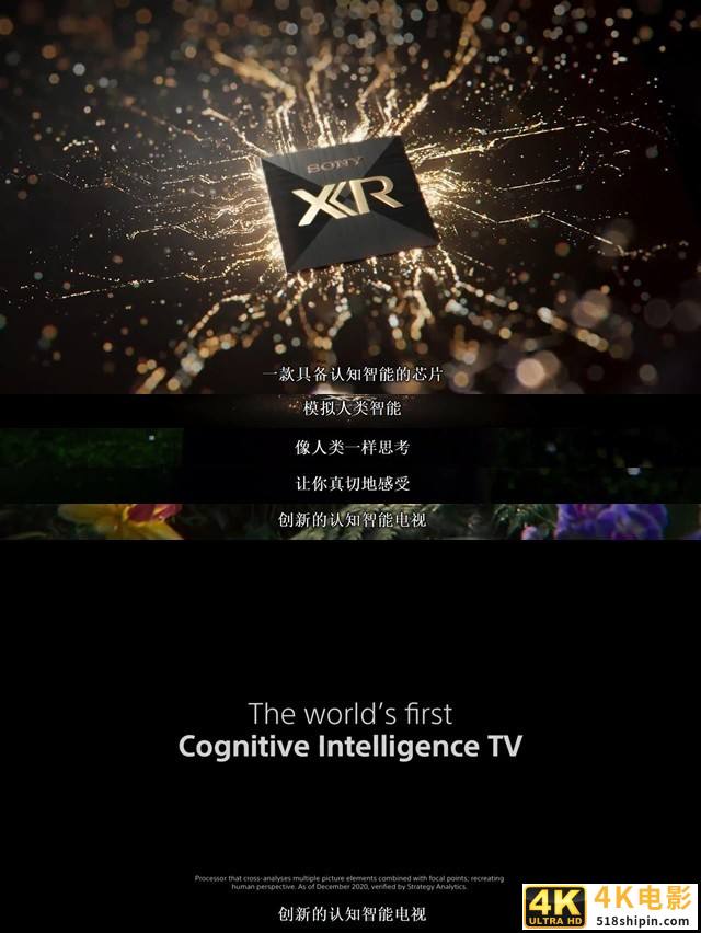 视网膜优化？索尼具认知能力电视芯片XR来了-第1张图片-90博客网