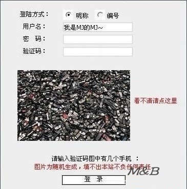 验证码广告：站长增加收入的另一种新渠道-第2张图片-90博客网