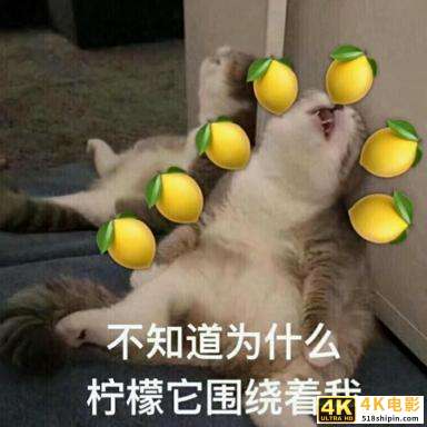 还在白白浪费积分？第一次知道支付宝会员这么好用-第2张图片-90博客网
