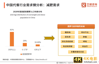 艾媒咨询｜2021年一季度中国代餐行业发展及市场调研分析报告-第3张图片-90博客网