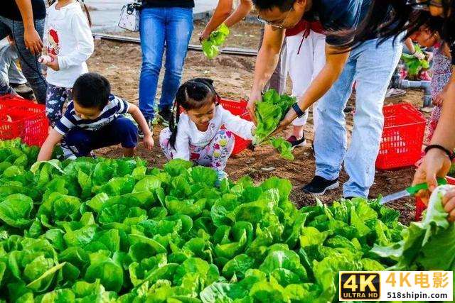 未来农业新趋势，短视频农场模式来临！-第5张图片-90博客网