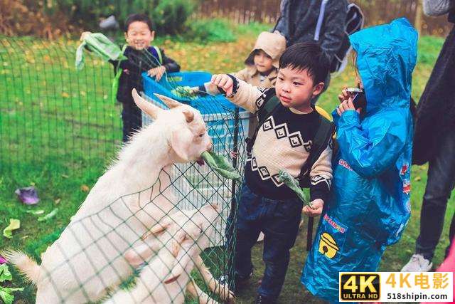 未来农业新趋势，短视频农场模式来临！-第3张图片-90博客网