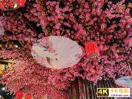 荣耀V40拍照评测：优化不错，RYYB依旧亮眼-第12张图片-90博客网