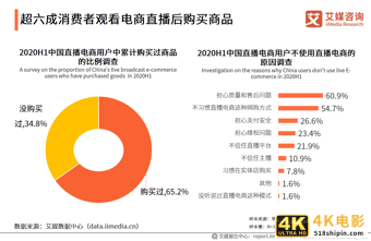 2020上半年中国直播电商市场研究报告-第19张图片-90博客网