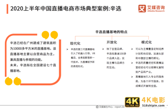 2020上半年中国直播电商市场研究报告-第27张图片-90博客网