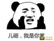 互联网出海的疾风吹起了谁？-第2张图片-90博客网