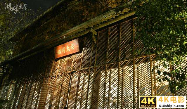 网红鼻祖雪梨被马云湖畔大学录取：没门槛，是你对网红最大的误解-第2张图片-90博客网