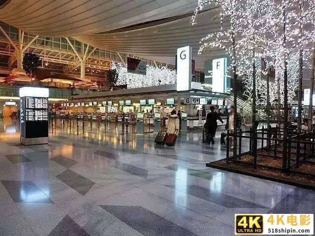 网红鼻祖雪梨被马云湖畔大学录取：没门槛，是你对网红最大的误解-第10张图片-90博客网