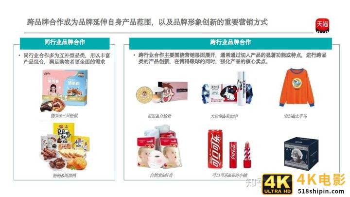 干货总结：如何打造网红产品破圈创新以及通过网红产品带动销量表现？-第5张图片-90博客网