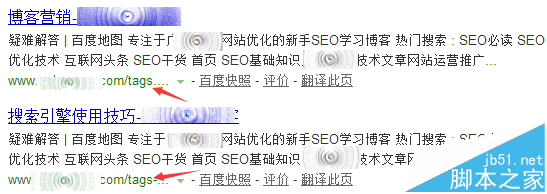 网站SEO之TAGS标签优化有多重要?-第2张图片-90博客网