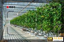 45岁的人一直漂泊在外，一事无成回到农村，做什么能养家糊口？-第4张图片-90博客网