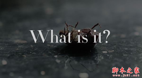 如何写一篇高质量的原创文章？高质量的原创文章的写作技巧汇总-第2张图片-90博客网
