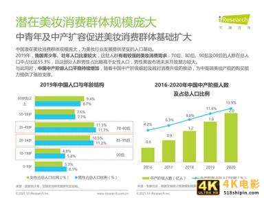 2021年中国本土美妆行业研究报告-第6张图片-90博客网