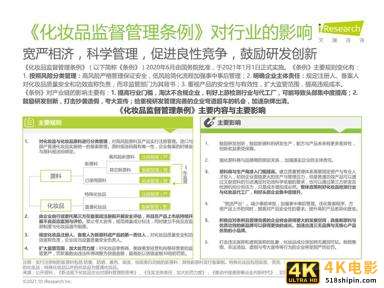 2021年中国本土美妆行业研究报告-第8张图片-90博客网