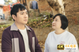41亿！《你好，李焕英》反超夺冠，发行方市值却暴跌133亿-第3张图片-90博客网