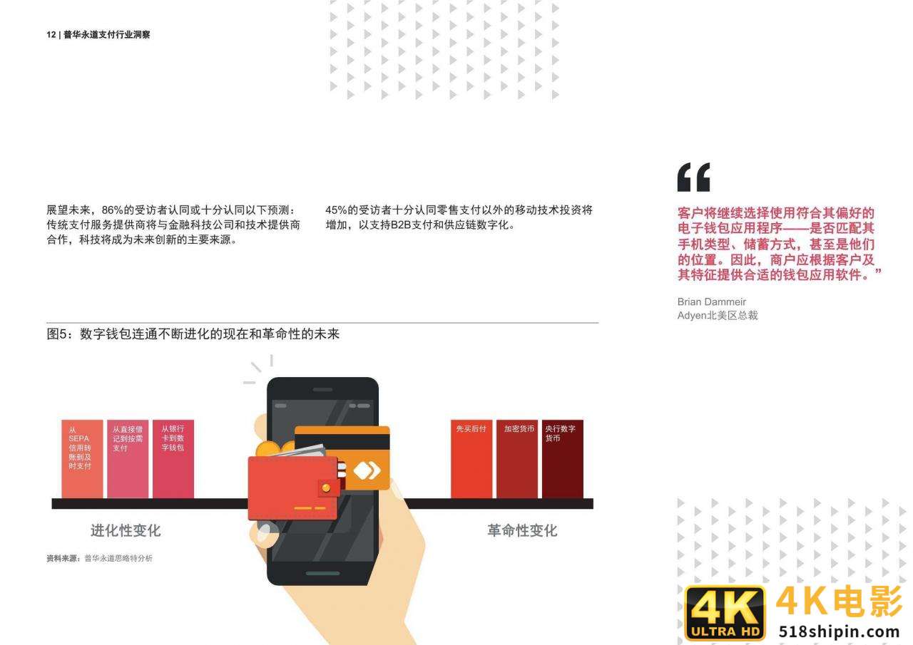 支付行业洞察：金融业2025年及未来展望-第12张图片-90博客网