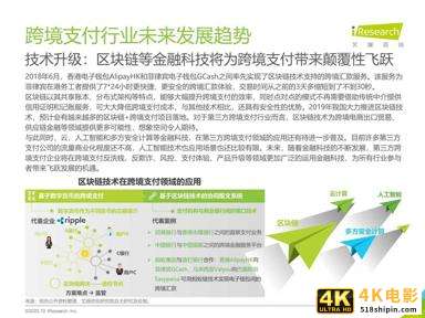 艾瑞：2020年中国第三方跨境支付行业研究报告-第29张图片-90博客网