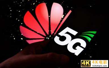 华为智慧养猪方案难发挥5G优势，囿于成本或许WiFi更合适-第1张图片-90博客网