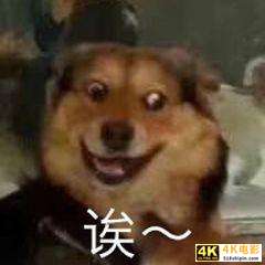 微信更新，烦死人的微信群问题解决了，还能立“遗嘱”-第4张图片-90博客网