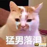 微信更新，烦死人的微信群问题解决了，还能立“遗嘱”-第17张图片-90博客网