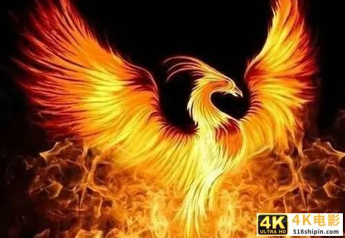 “凤凰涅槃，浴火重生”，“转型升级”势在必行，传统行业逃不掉-第1张图片-90博客网