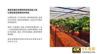 喜茶2020年度报告：茶势喜人，灵感永驻-第23张图片-90博客网