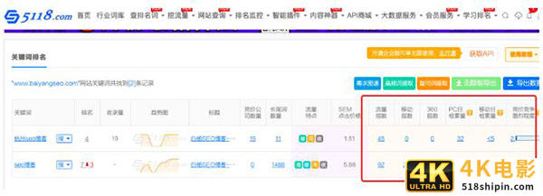一文告诉你SEO站长综合查询工具-5118功能使用大全-第5张图片-90博客网