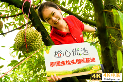 携手泰国政府 滴滴橙心优选打造首个本土榴莲节-第3张图片-90博客网