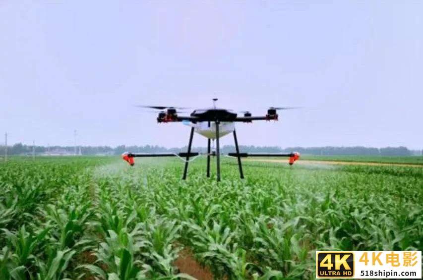 农村农业“现代化”新开局，农民都富起来了！才是经济复兴的关键-第2张图片-90博客网