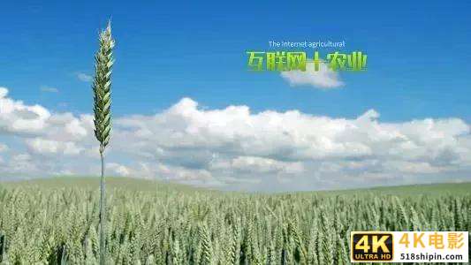 农村农业“现代化”新开局，农民都富起来了！才是经济复兴的关键-第3张图片-90博客网