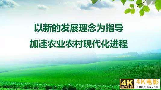 农村农业“现代化”新开局，农民都富起来了！才是经济复兴的关键-第1张图片-90博客网