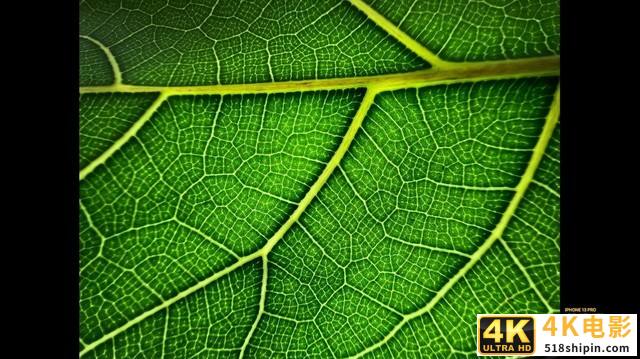 强调摄影风格和影像体验的iPhone13摄影体验如何-第12张图片-90博客网 强调摄影风格和影像体验的iPhone13摄影体验如何-第12张图片-90博客网