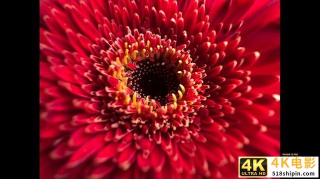 强调摄影风格和影像体验的iPhone13摄影体验如何-第13张图片-90博客网 强调摄影风格和影像体验的iPhone13摄影体验如何-第13张图片-90博客网